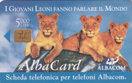 ITALY - Three Young Lions, Albacom First Issue L.5000, Tirage 20000, Exp.date 31/12/00, Used - Sonstige & Ohne Zuordnung