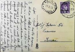 ITALIA - COLONIE OCCUPAZIONE BRITANNICA - B.A.TRIPOLITANIA - Cartolina Da TRIPOLI 1949- AGEB S6051 - Britische Bes. MeF