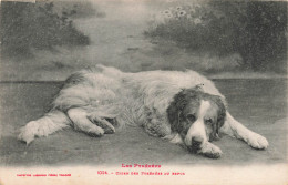 ANIMAUX  ET FAUNE - Chiens Des Pyrénées Au Repos - Carte Postale Ancienne - Chiens