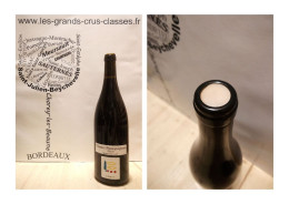 Côteaux Bourguignons 2019 - Gamay - Domaine Prieuré Roch - Côteaux Bourguignons - 1 X 75 Cl - Rouge - Wein