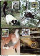 A51642)WWF-Maximumkarten Saeugetiere: Madagaskar 1110 - 1113 A - Cartes-maximum