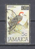 Jamaica 1986 Mi 643 WOODPECKER BIRD (1) - Pics & Grimpeurs