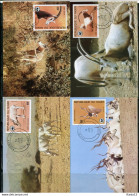 A51650)WWF-Maximumkarten Saeugetiere: Niger 941 - 944 - Cartes-maximum