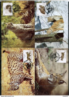 A51657)WWF-Maximumkarten Saeugetiere: Portugal 1741 - 1744 - Cartes-maximum