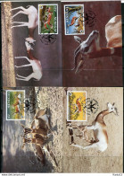 A51661)WWF-Maximumkarten Saeugetiere: Senegal 875 - 878 - Maximum Cards