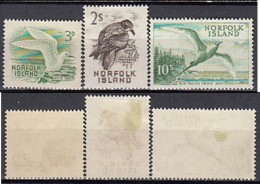 Norfolk 1961 (MH) (Mi  28, 33, 36) White Tern, Providence Petrel, Red-tailed Tropicbird - Collections, Lots & Series