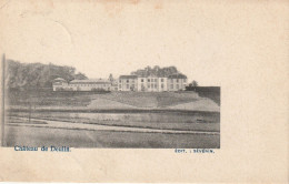 Château De Deulin ---- 1908 - Hotton