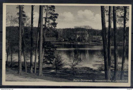 M04893)Ansichtskarte: Berlin - Grunewald - Grunewald