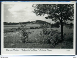 M06068)Ansichtskarte: Reinhardtsdorf-Schoena - Schoena