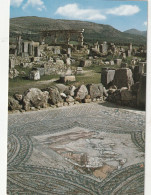 VOLUBILIS - Mauretanien