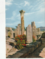 VOLUBILIS - Mauritania