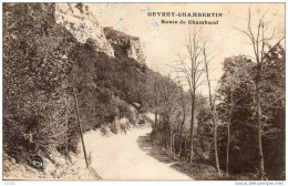 GEVREY CHAMBERTIN  Route De Chamboeuf - Gevrey Chambertin
