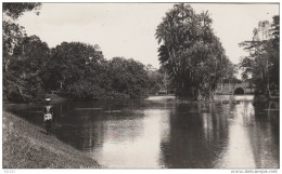 SINGAPOUR LAKE BOTANICA - Singapour