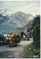 AQUITAINE. En Parcourant Le Béarn. Attelage Typique. - Aquitaine