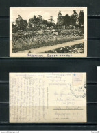 K15564)Ansichtskarte: Sangerhausen, Rosarium, Gelaufen 1954 - Sangerhausen