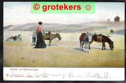 SCHEVENINGEN Strandgezicht Met Ezels 1904 Ed: Dr. Trenkler Co, Leipzig 1903 22395 - Scheveningen