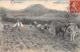 FRANCE - Auvergne - Semence Des Bles - Attelage - Colorisé - Carte Postale Ancienne - Auvergne Types D'Auvergne