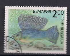 BULGARIE   N°  3507     OBLITERE - Used Stamps