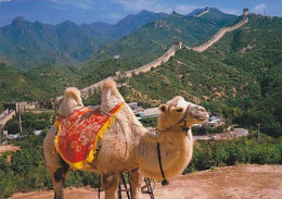 AK 186115 CHINA - Scenery On The Badaling Section Of The Great Wall In Beijing - Chine