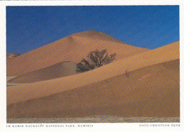 AK 186123 NAMIBIA - Im Namib Naukluft National Park - Namibië