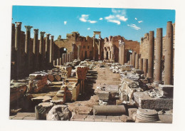 FA29 - Postcard - LIBYA - Leptis Magna, Severian Basilica, Uncirculated - Libia