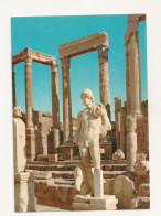 FA29 - Postcard - LIBYA - Leptis Magna, Uncirculated - Libia