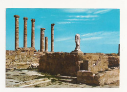 FA29 - Postcard - LIBYA - Sabratha, Uncirculated - Libia