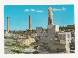 FA29 - Postcard - LIBYA - Cyrene, Roman Ruins, Uncirculated - Libia