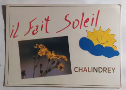 CHALINDREY . 52 . Carte Souvenir Avec Fleurs Et Soleil - Rare - 1993 - Chalindrey