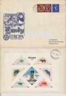 #22 Great Britain Lundy Island Puffin Stamps Black Metal Cancellation Cover Price Slashed! - Ortsausgaben