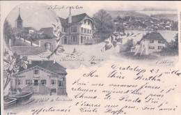 Souvenir De Bevais NE, Hôtel De Commune Et Autres, 5 Vues (23.7.1900) - Bevaix