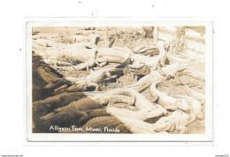 Alligator Farm, MIAMI, FLORIDA - Miami