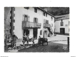 64 - BIDARRAY : Coin Pittoresque Du Pays Basque,Restaurant, Enfants Avec Anes, - Bidarray