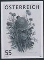 AUSTRIA(2008) Ranunculus. Black Print. Art Of Judith Schimany. - Probe- Und Nachdrucke