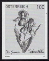 AUSTRIA(2023) Bearded Iris (Iris X Germanica. Black Print. - Essais & Réimpressions