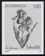 AUSTRIA(2023) Bearded Iris (Iris X Germanica. Black Print. - Ensayos & Reimpresiones