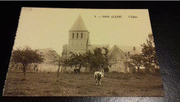 Han S/Lesse - L'Eglise N°5 UNUSED VACHE COW  MARCO MARCOVICI BRUXELLES   Rochefort - Rochefort