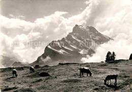 12770950 Braunwald GL Ortstock Braunwald - Sonstige & Ohne Zuordnung