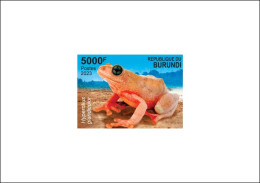 BURUNDI 2023 DELUXE PROOF -  FROG FROGS GRENOUILLE GRENOUILLES AMPHIBIANS AMPHIBIENS - MNH - Grenouilles