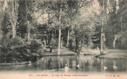 FRANCE - Le Mans - Le Lac Du Jardin D'Horticulture - Carte Postale Ancienne - Le Mans