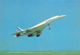 TRANSPORTS - 1er Vol Concorde En Wallonie - Atterissage Aéroport De Charleroi ... - Colorisé - Carte Postale - 1946-....: Modern Era