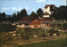12588390 Stettfurt Schloss Sonnenberg Bauernhof Viehweide Kuehe Stettfurt - Autres & Non Classés