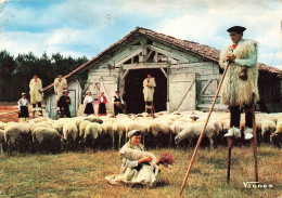 FRANCE - Visage Des Landes - Lous Becuts De Countis - Carte Postale - Autres & Non Classés