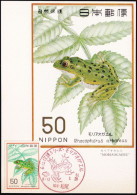 JAPAN 1976 Mi-Nr. 1293 Maximumkarte MK/MC No. 296 - Maximum Cards