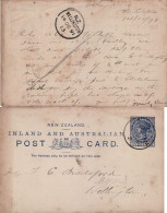 NEW ZEALAND 1891 POSTCARD SENT FROM WELLINGTON - Cartas & Documentos