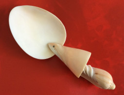 Tonga Handmade Decorative Seashells Conchs Shells Tablespoon Souvenir, From Tonga - Spoons