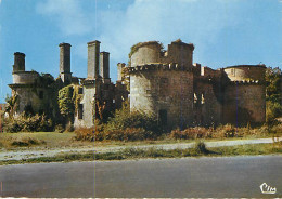 CLEDER - Les Ruines De Kergouadeac'h - Cléder