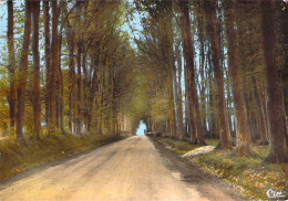 76 - Offranville - La Passée - Offranville