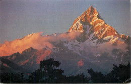 Nepal Pokhara Peak Of Machapuchhare - Népal