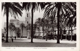 ESPAGNE - Cadiz - Plaza De La Catedral - Carte Postale Ancienne - Sonstige & Ohne Zuordnung